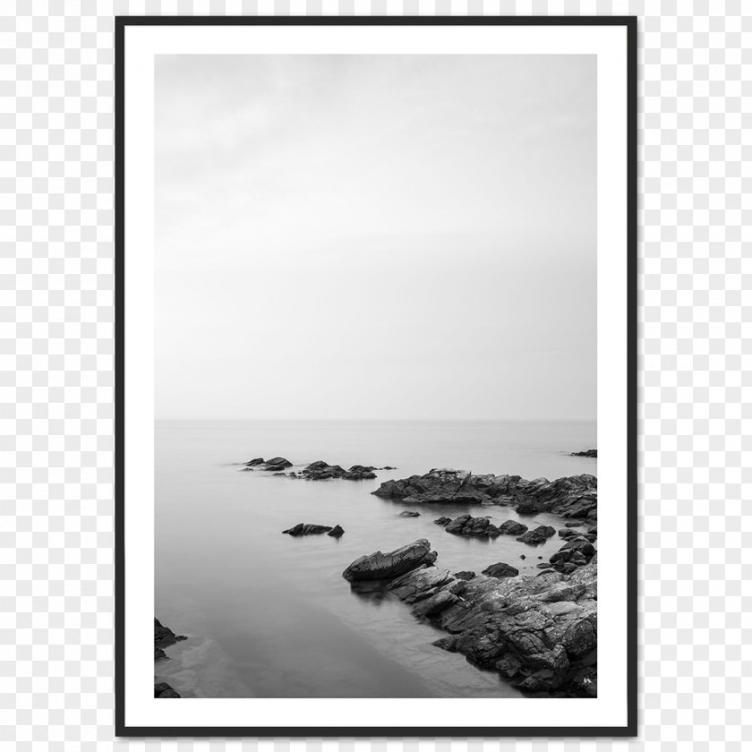 Photographer Black And White Fine-art Photography PNG