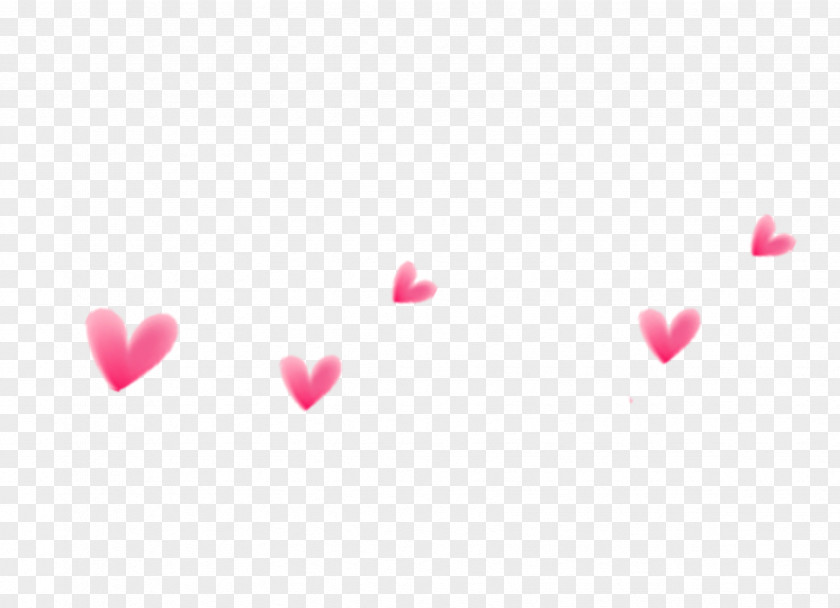 Pink Love Falling Petal PNG