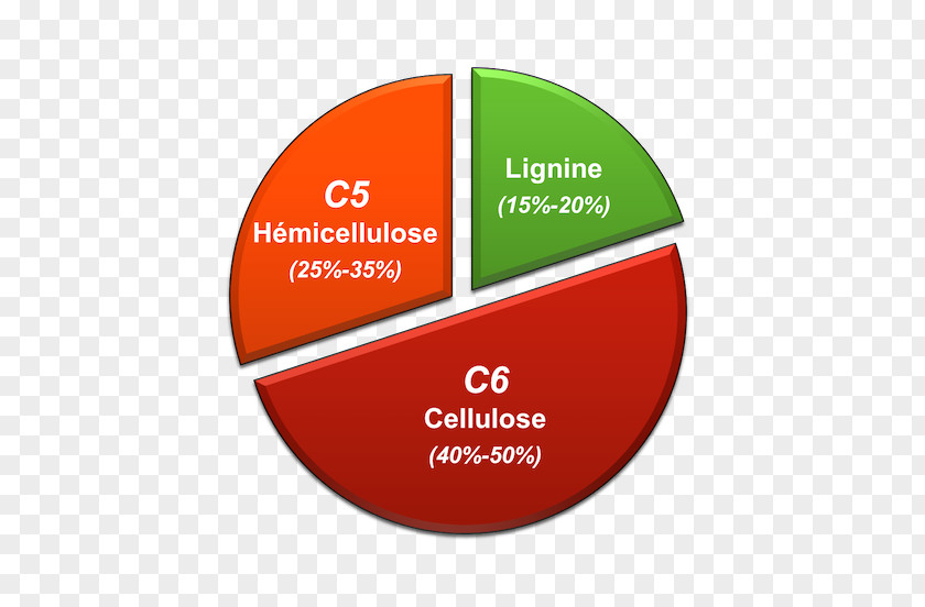 Plants Paper Hemicellulose Lignocellulosic Biomass Lignin PNG