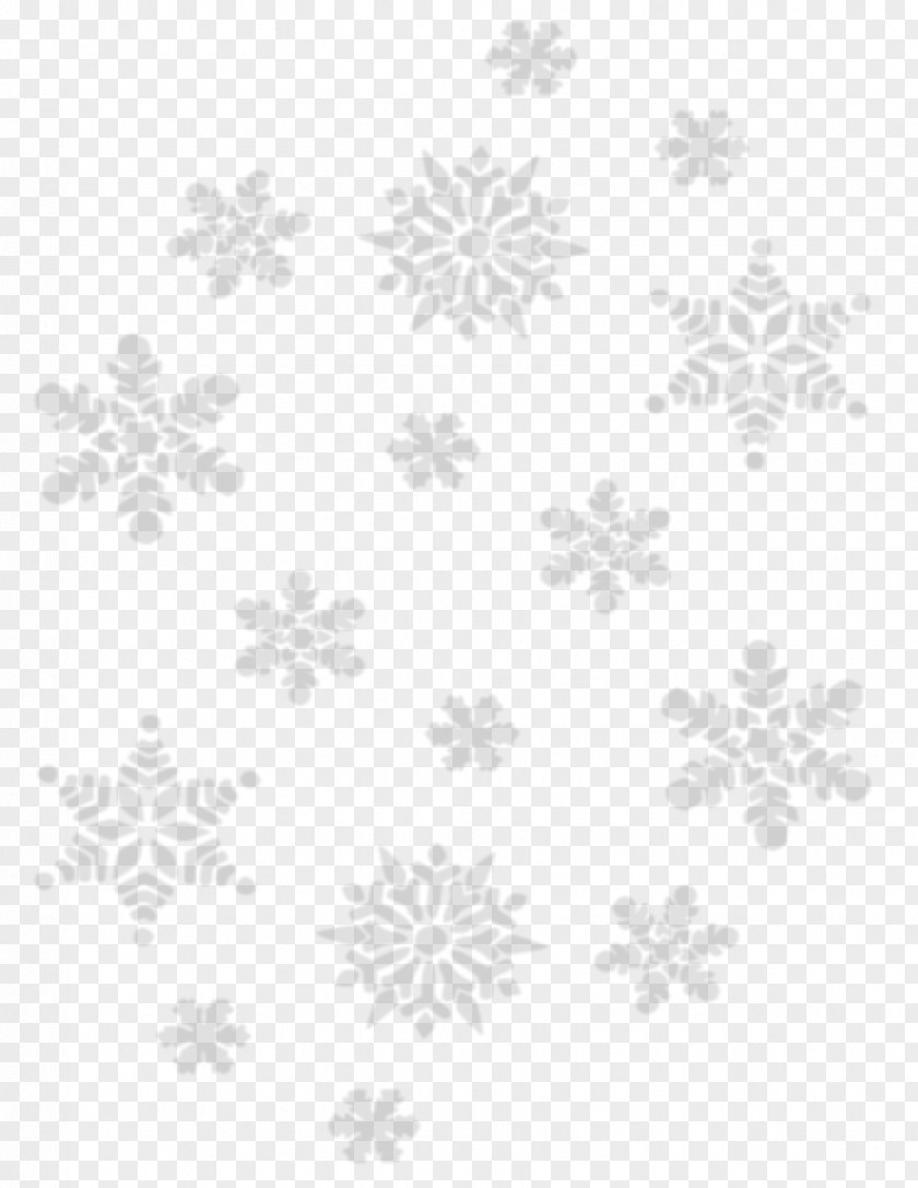 Snowflake Image Icon PNG