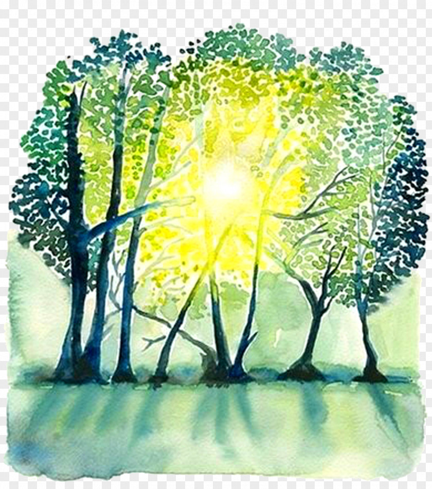 Book Color Forest Sunshine Paper Watercolor Painting Landscape Painter PNG
