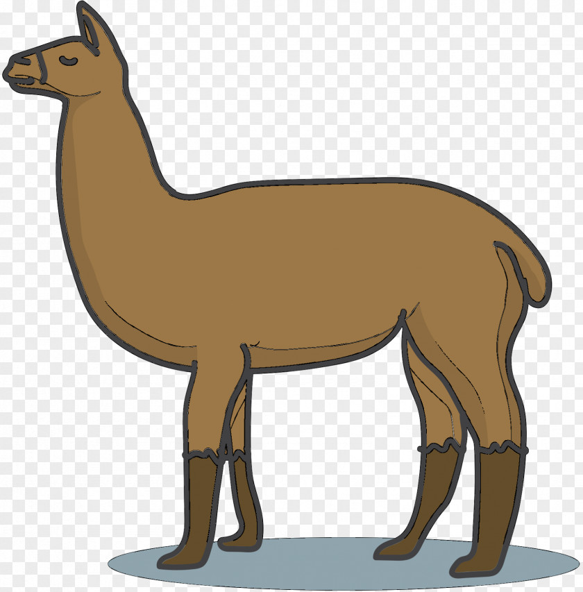 Llama Horse Macropods Deer Mammal PNG