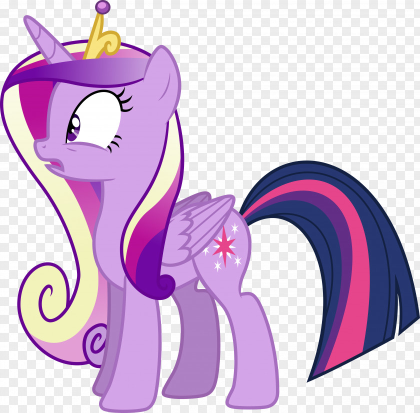 My Little Pony Twilight Sparkle Princess Cadance Pinkie Pie Rainbow Dash PNG