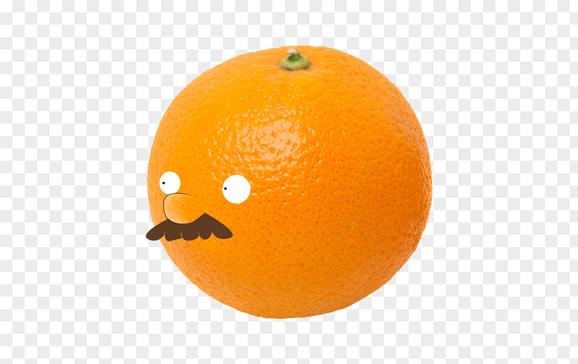 Orange Juice Clementine Tangerine Tangelo PNG