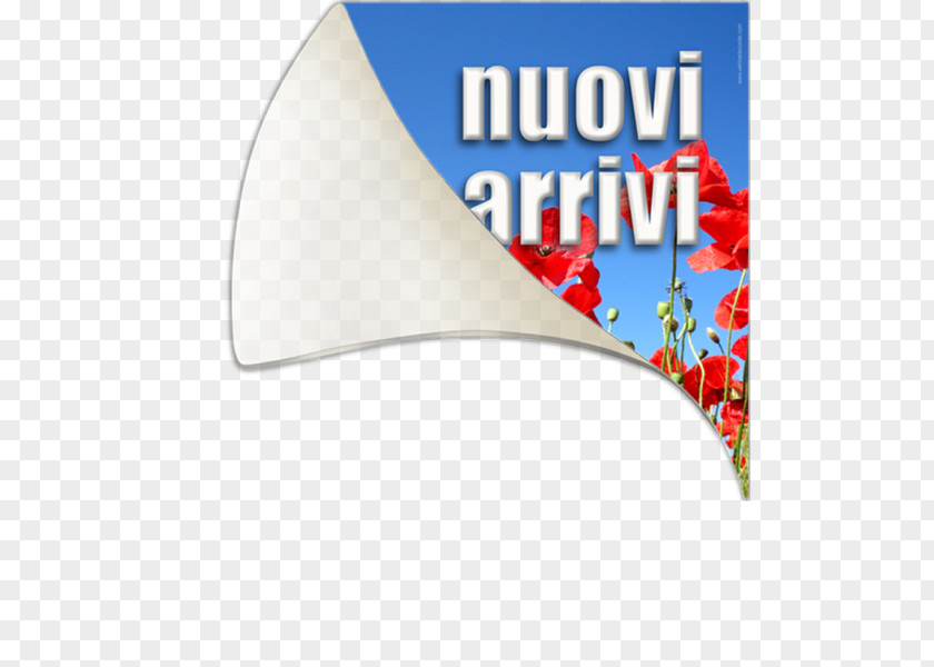 Papaveri Display Window Vetrofania Decoratie Sticker Shop PNG