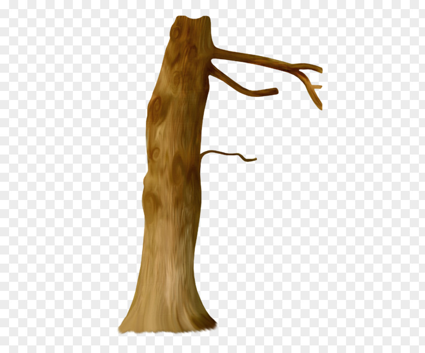 Tree Trunk PNG