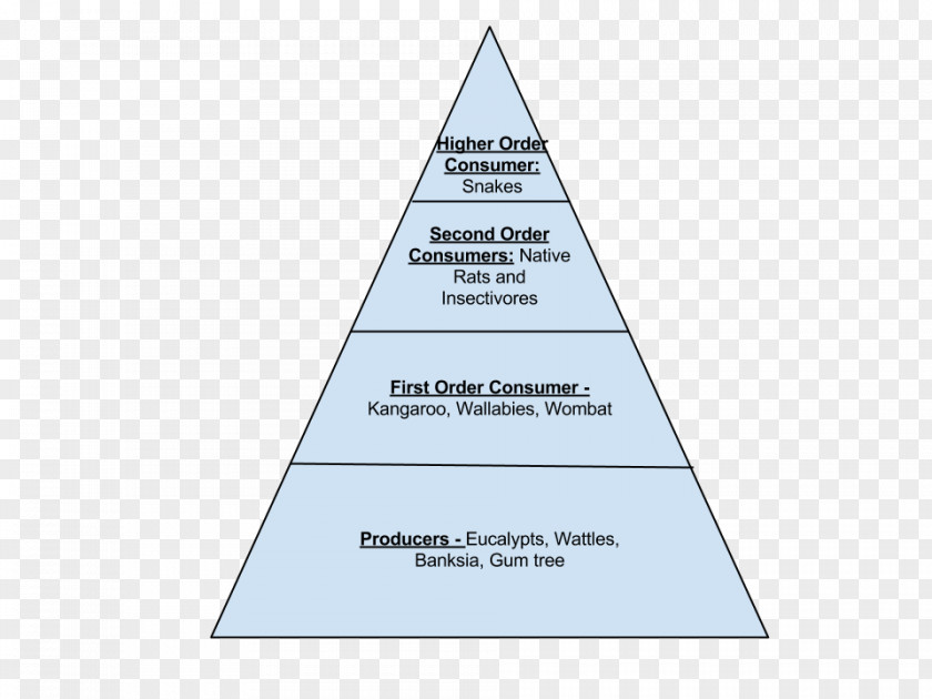Vast Expanse Triangle Area Pyramid Diagram PNG