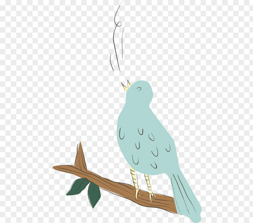 Bird Drawing Clip Art PNG
