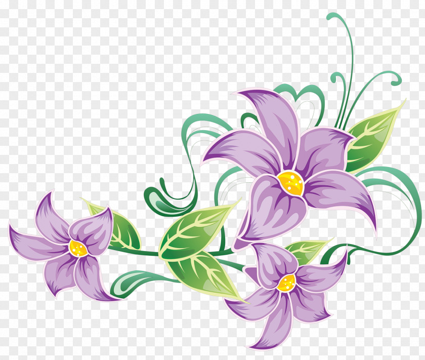 Flor Drawing Flower PNG