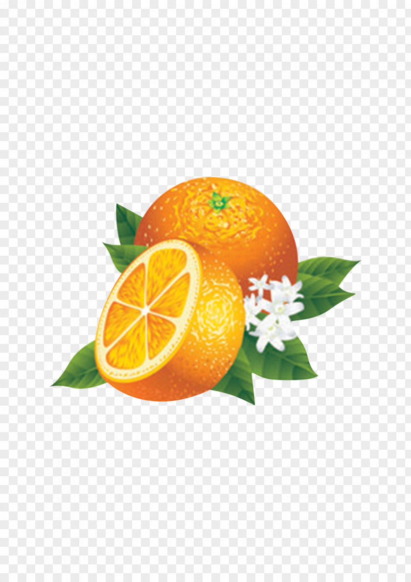 Fresh,fruit,Orange Juice Lemon Fruit Orange PNG