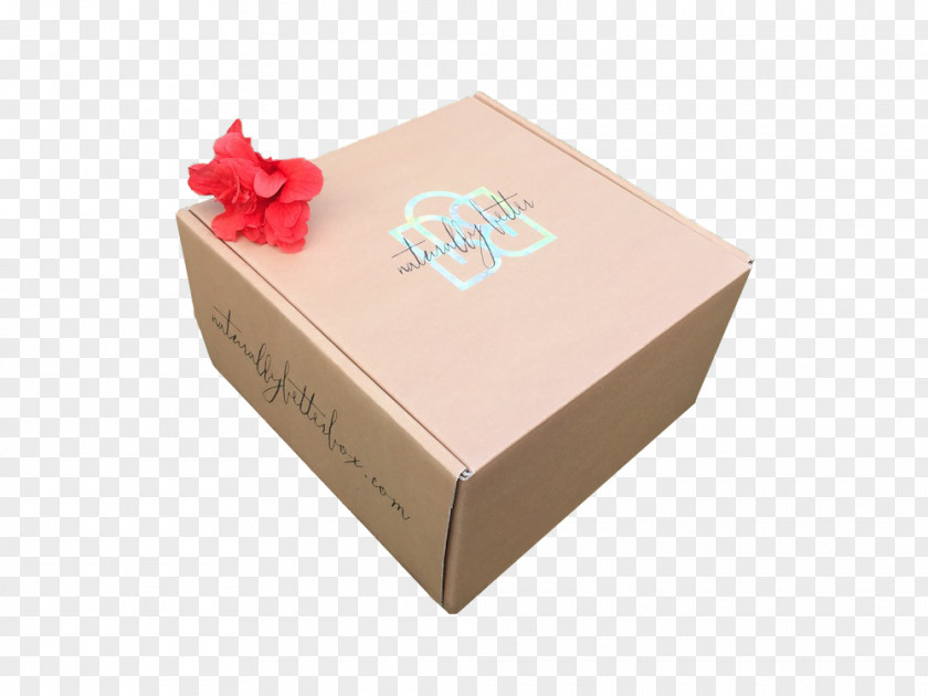 Hong Kong Food Gift Carton PNG