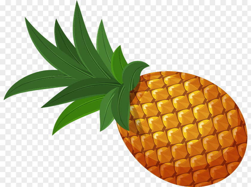 Pineapple Vector Material PNG