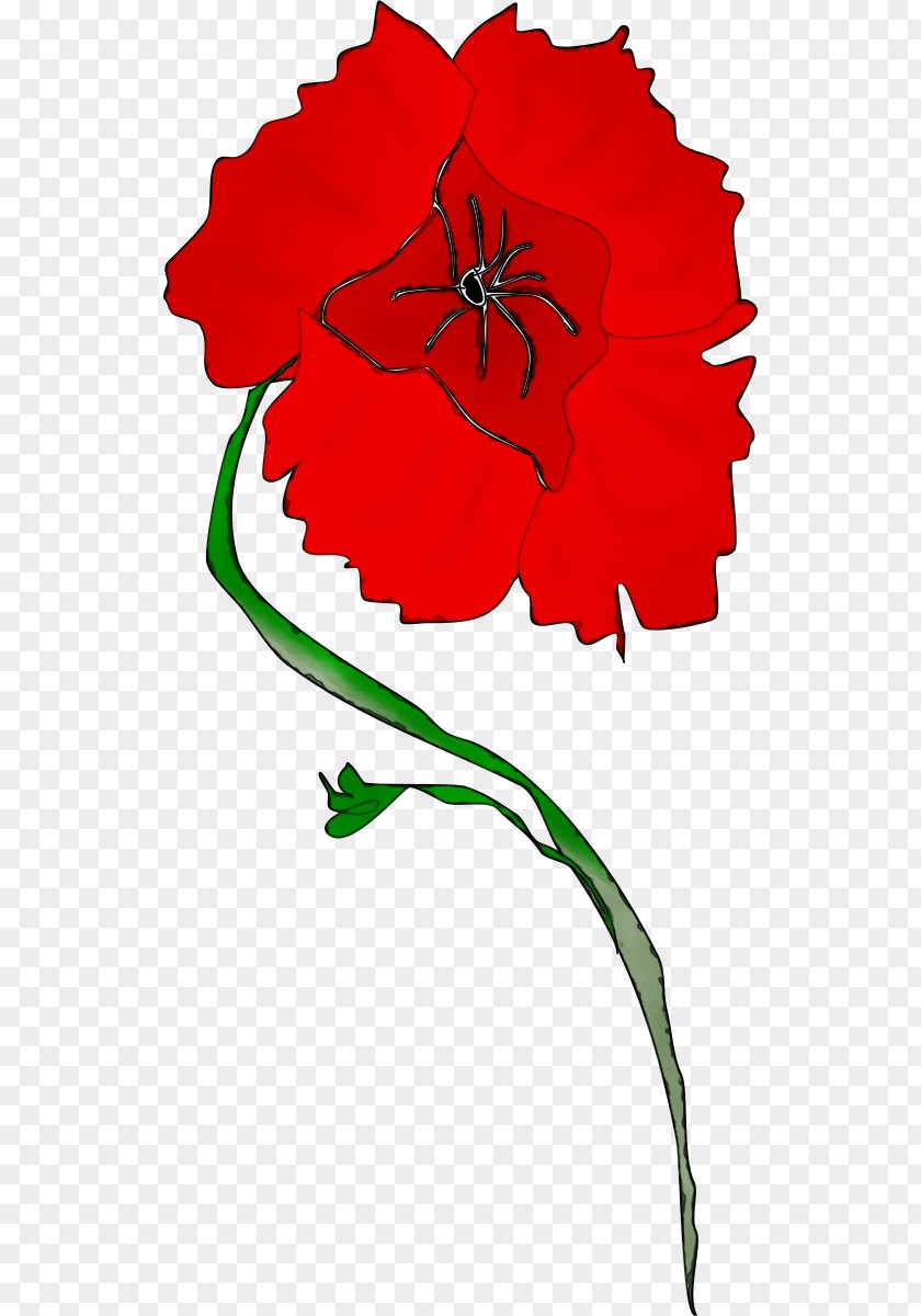 Plant Stem Flowering Red Flower Clip Art Pedicel PNG