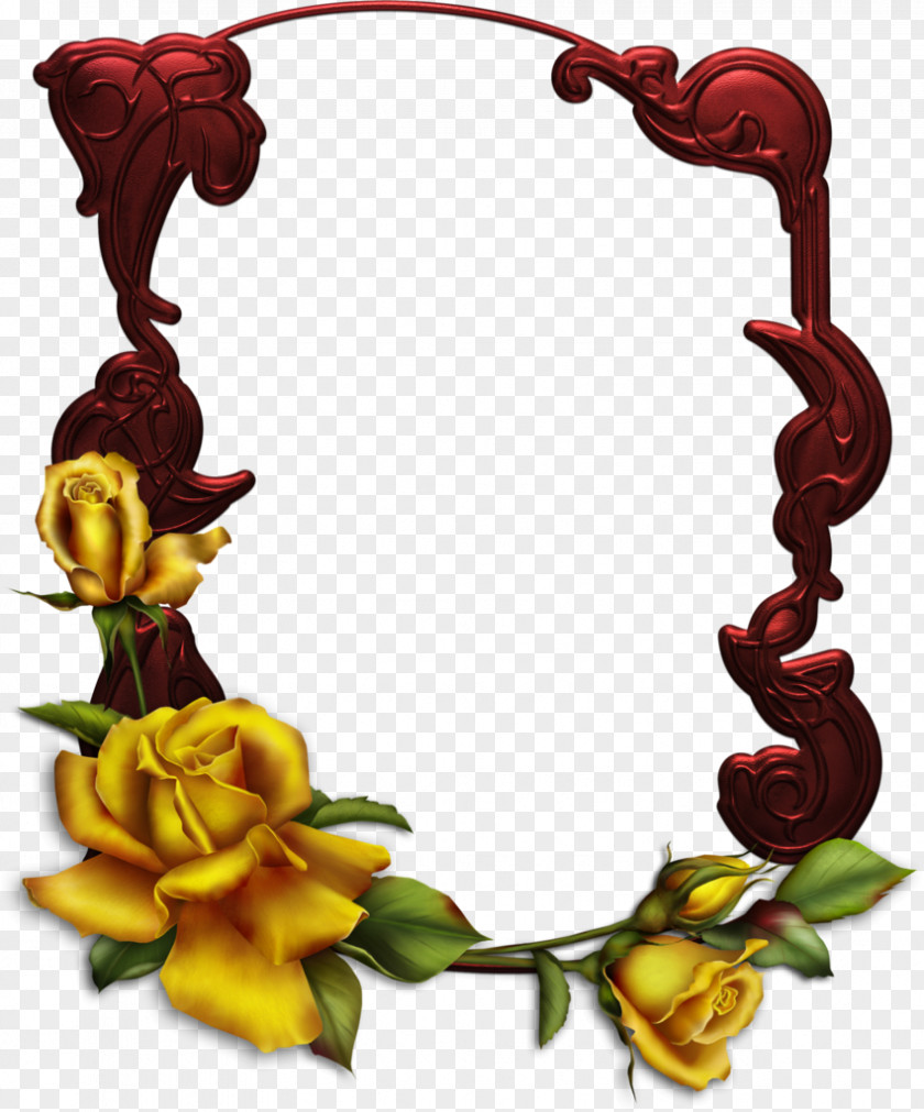 Rose Picture Frames Photography PNG