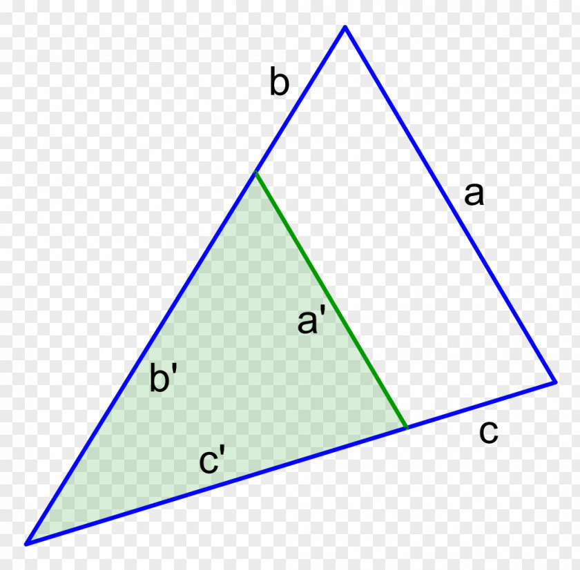Triangle Area Semelhança De Triângulos Geometry PNG