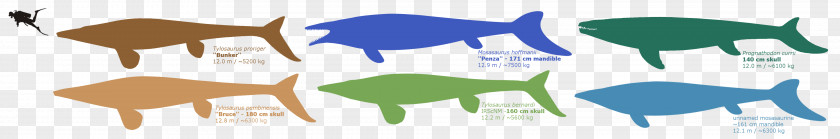 Sea Serpent Mosasaurs Reptile Mosasaurus Tylosaurus Art PNG