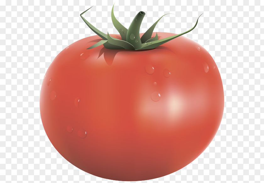 Vegetable Cherry Tomato Blue Clip Art PNG