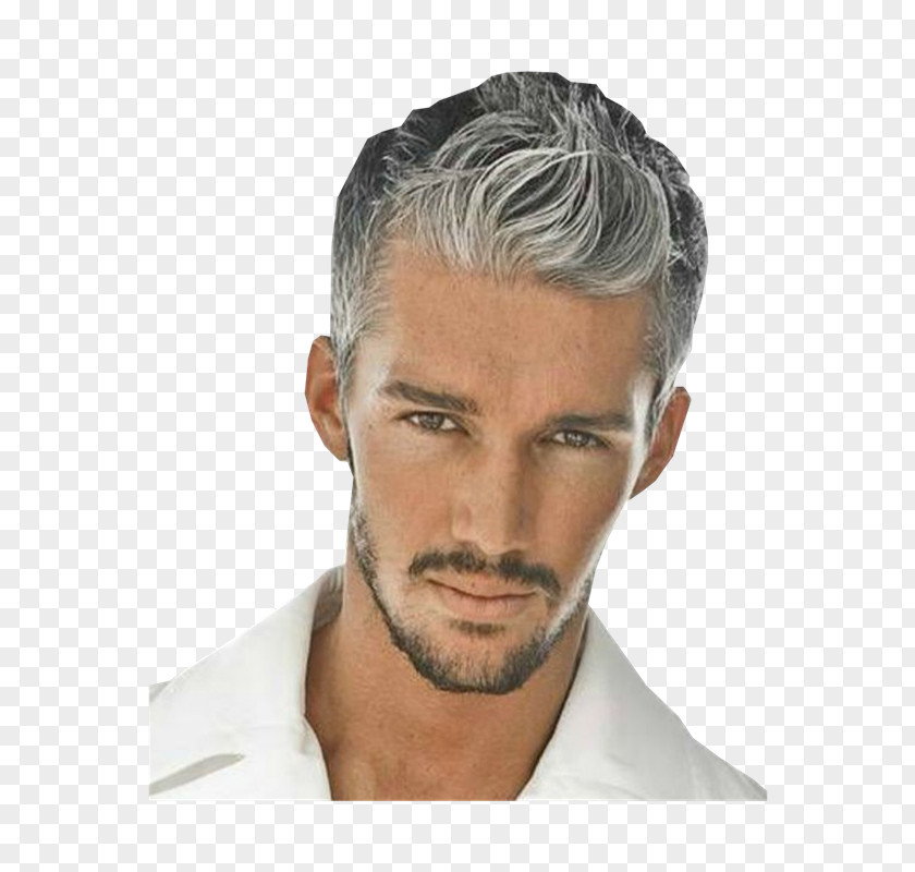 Veterinarian Hairstyle Hair Coloring Human Color Grey PNG