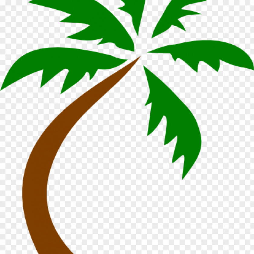 Bordr Illustration Clip Art Palm Trees Transparency Vector Graphics PNG
