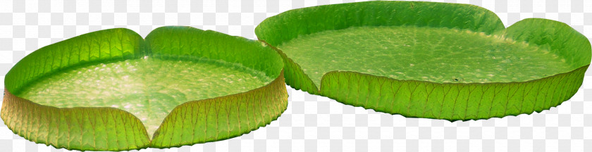 Creative Green Lotus Leaf Flower Clip Art PNG