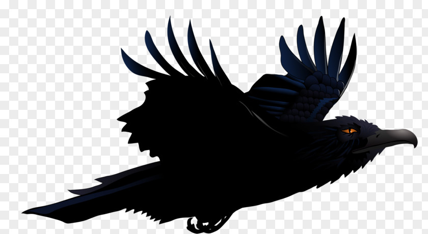 Crow Common Raven Clip Art Vector Graphics Image PNG