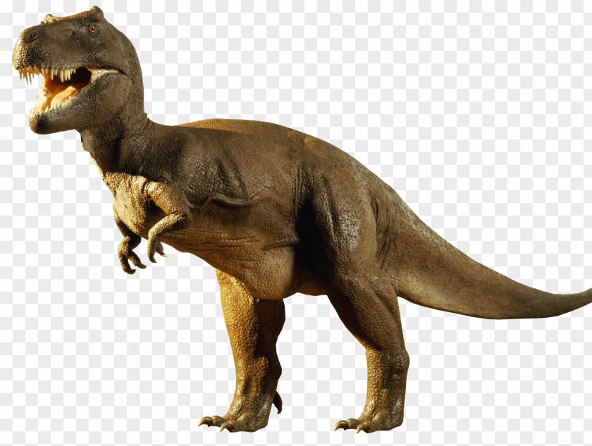 Dinosaur Tyrannosaurus Edmontosaurus Diplodocus Antarctosaurus PNG