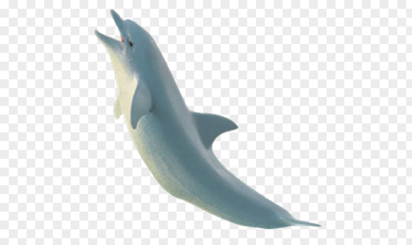 Dolphin Common Bottlenose Sea Animal Toy PNG