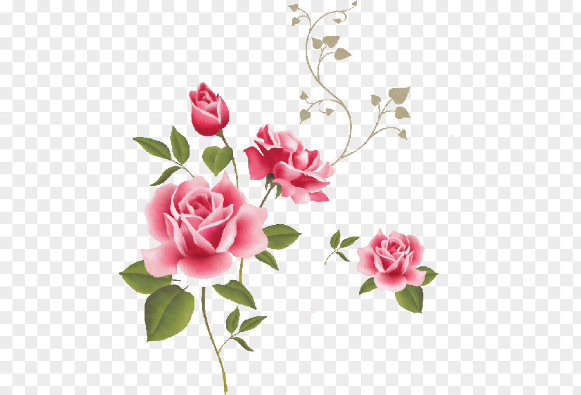 Flowers Pattern Rose Pink Clip Art PNG
