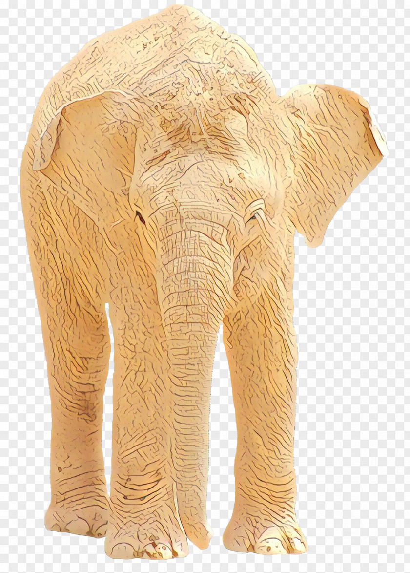 Indian Elephant African Bush Ganesha Giddy PNG