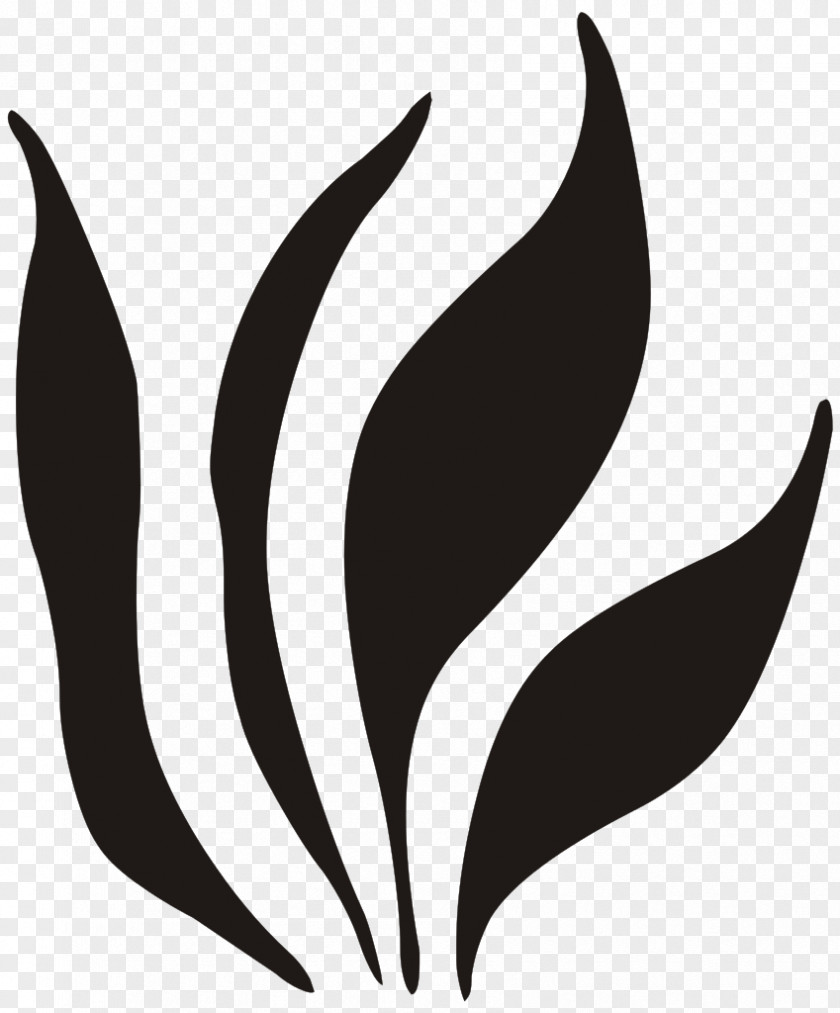 Leaves Black Licence CC0 Wikimedia Commons Creative Public Domain Clip Art PNG