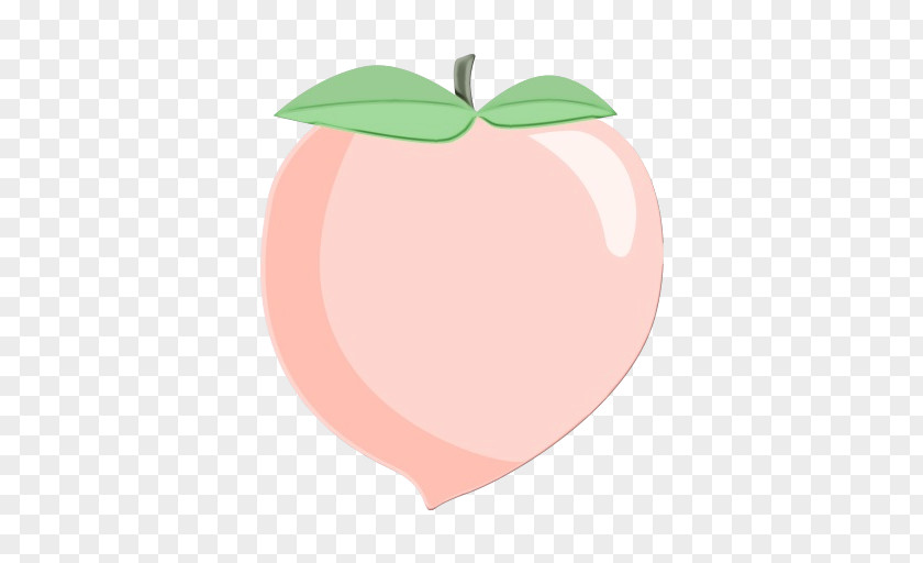 Rose Family Peach Apple Fruit Pink Leaf Plant PNG