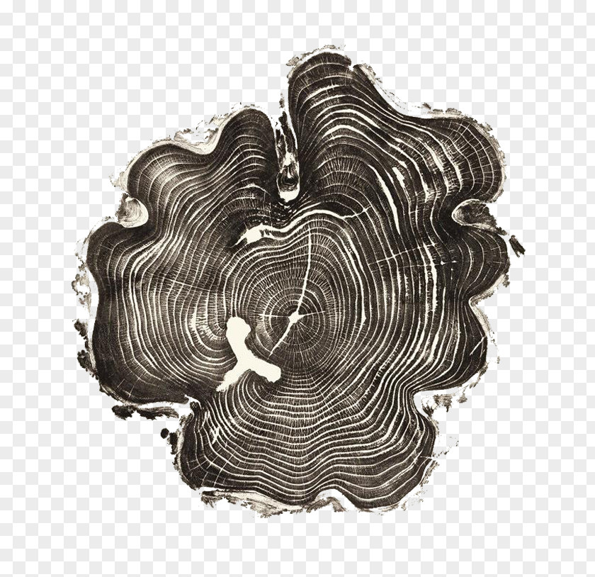 Tree Rings United States Woodcut Artist Printmaking PNG