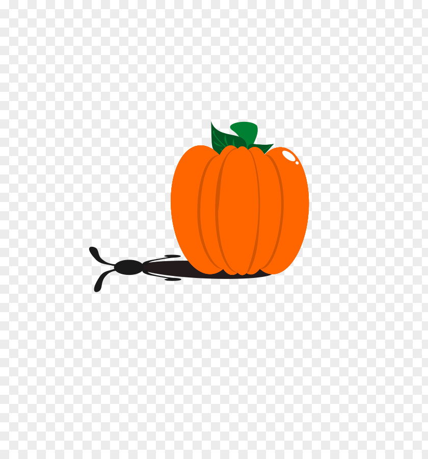 Vector Pumpkin Pie Clip Art PNG