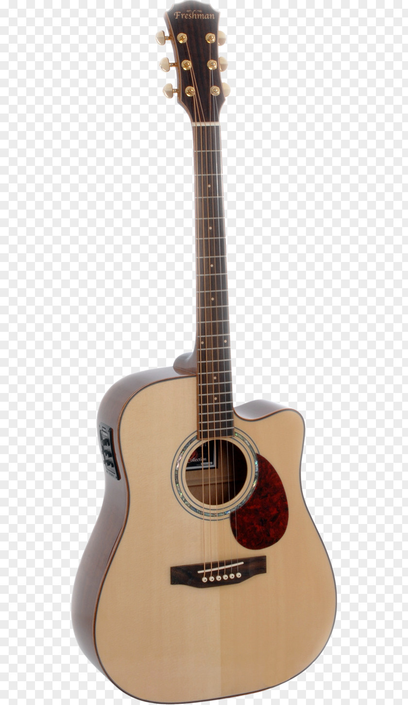 Acoustic Guitar Twelve-string Steel-string Acoustic-electric PNG