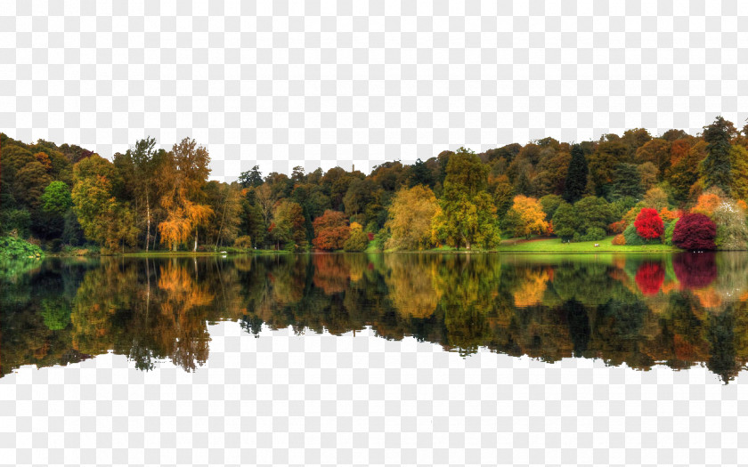 Autumn Forest Reflection Figure High-definition Television WUXGA 1080p 16:10 Wallpaper PNG