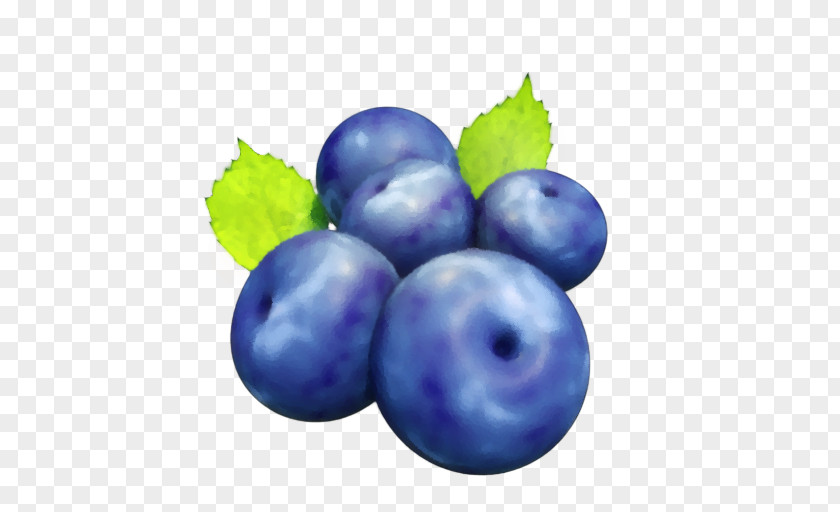 Blueberry Bilberry Grape Huckleberry Food PNG