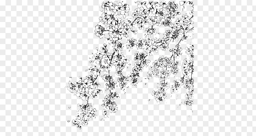 Cherry Blossom Color White Transparent PNG