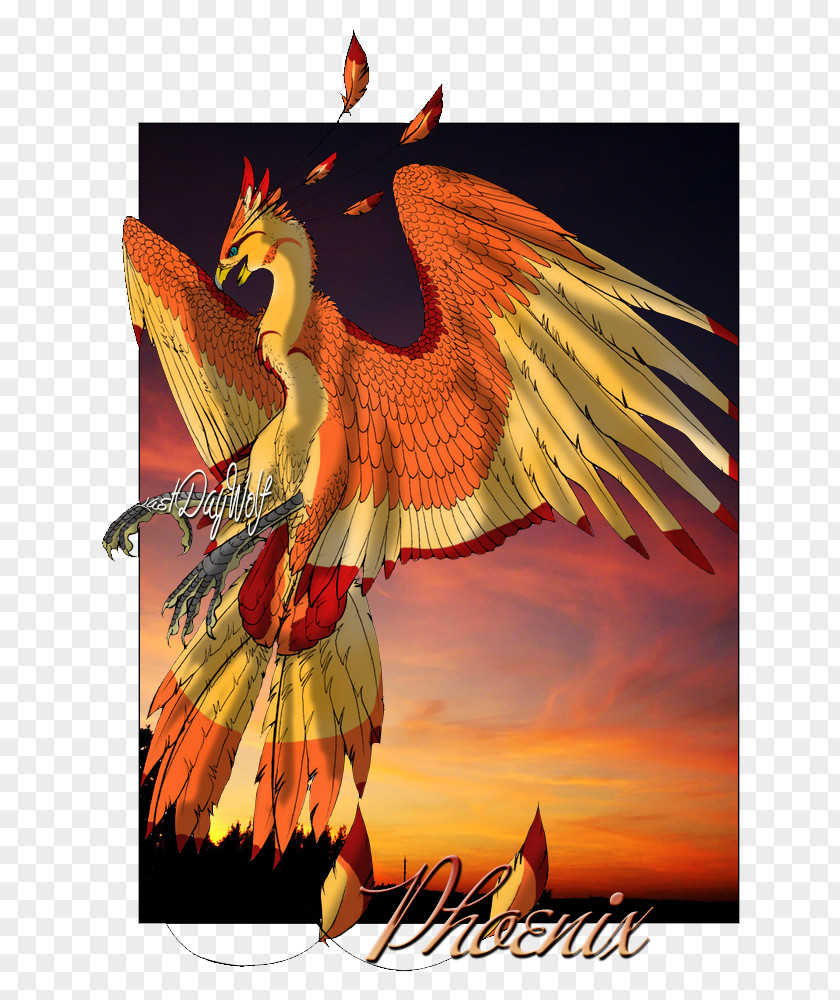 Eagle Poster Beak PNG