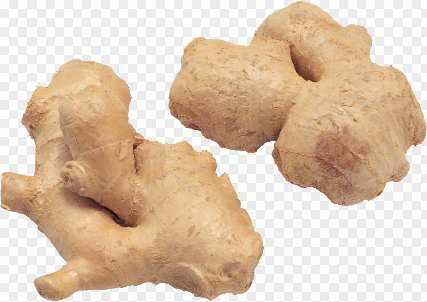Ginger PNG clipart PNG