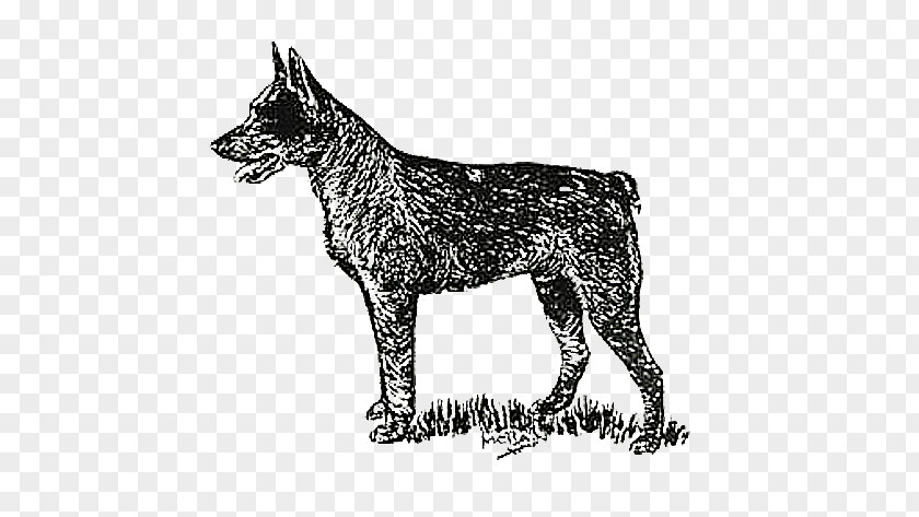 Great Dane Boston Terrier Dog Drawing PNG