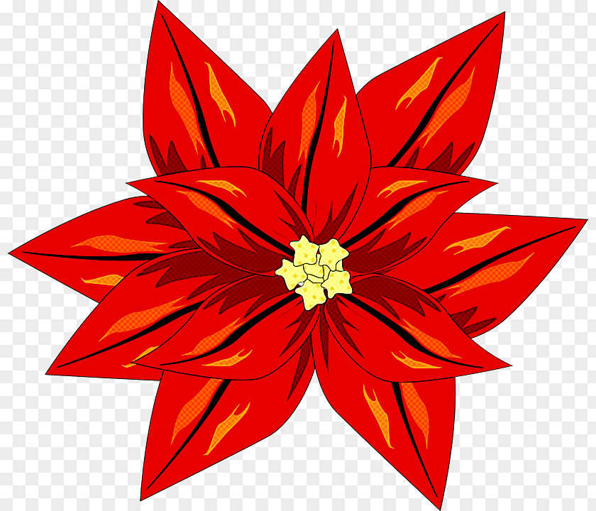 Red Petal Flower Poinsettia Plant PNG