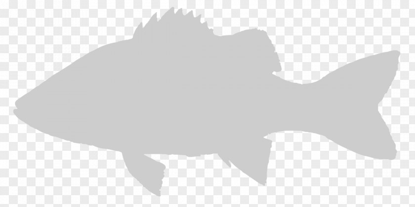 Silhouette Marine Mammal Cartoon White Font PNG