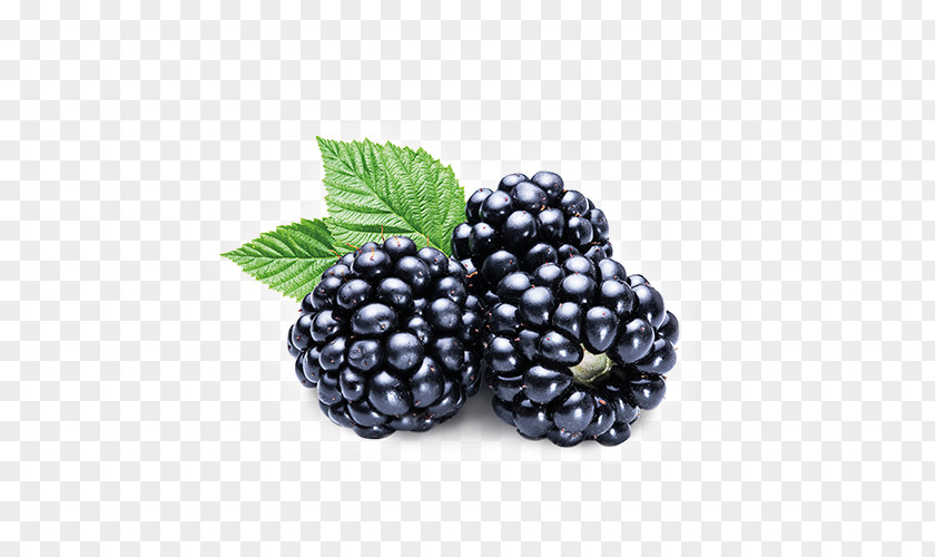 Blackberry White Raspberry Amora PNG