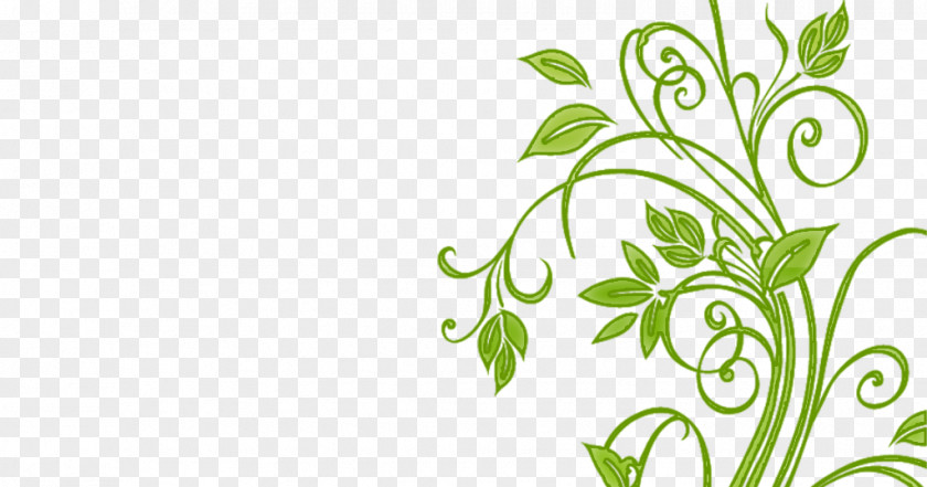 Flower Cdr Floral Design PNG