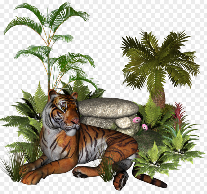 Tiger Plant Tree Clip Art PNG