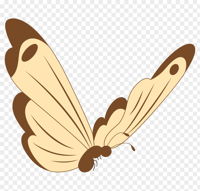 Butterfly Nymphalidae Moth Clip Art PNG