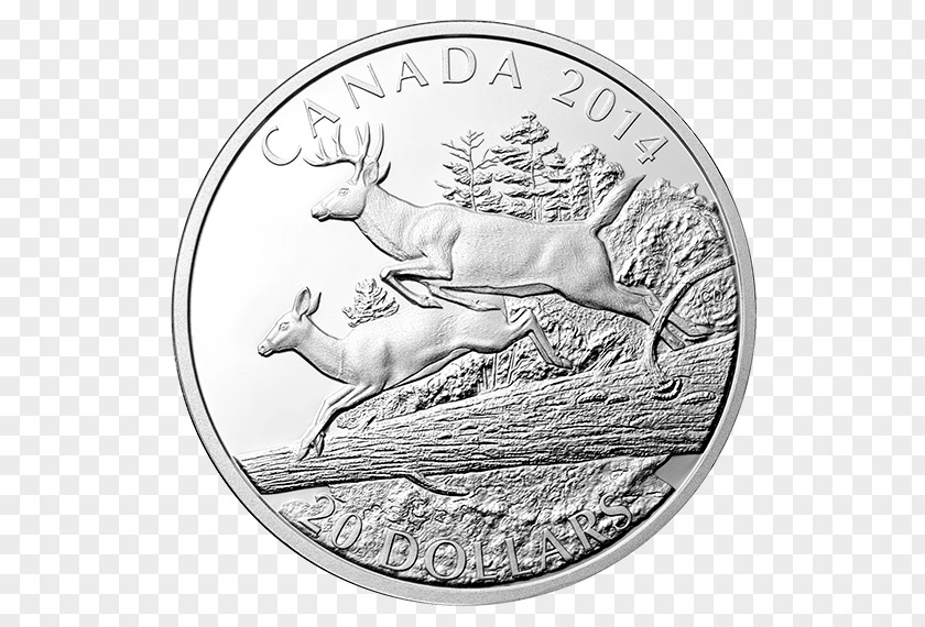 Coin Silver White-tailed Deer Perth Mint PNG