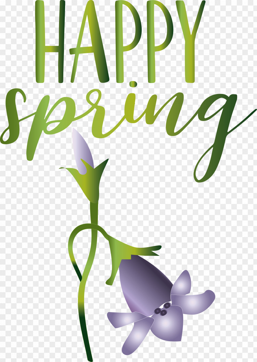 Floral Design PNG