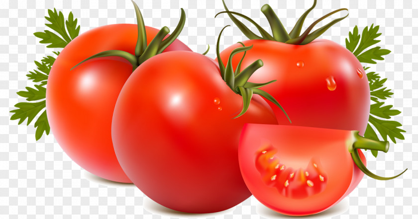 Nutraceutical Whole Food Tomato Cartoon PNG