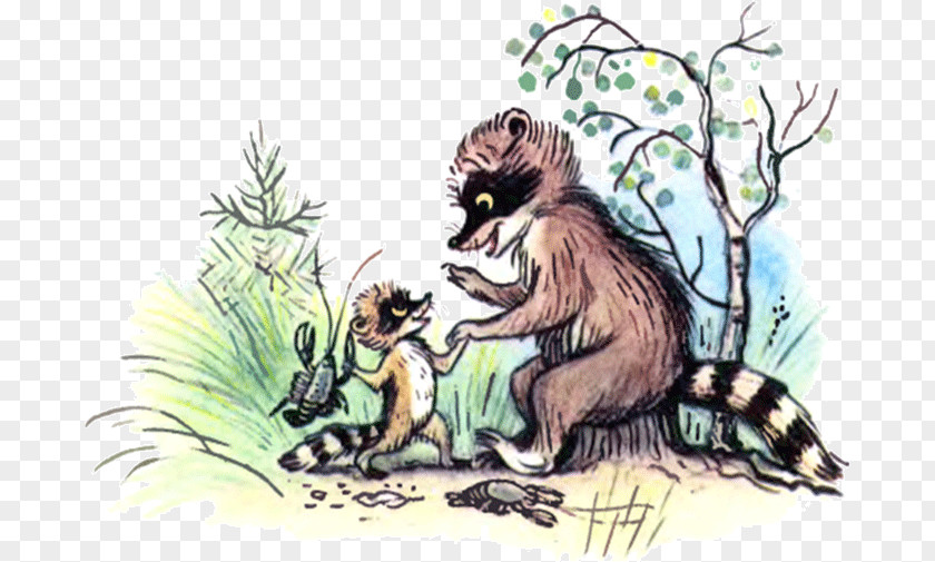 Raccoon The Scarlet Flower Little Prince Fairy Tale Uncle Remus PNG